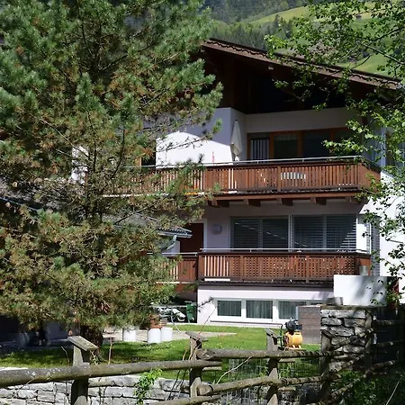 Nischler Wald im Pinzgau